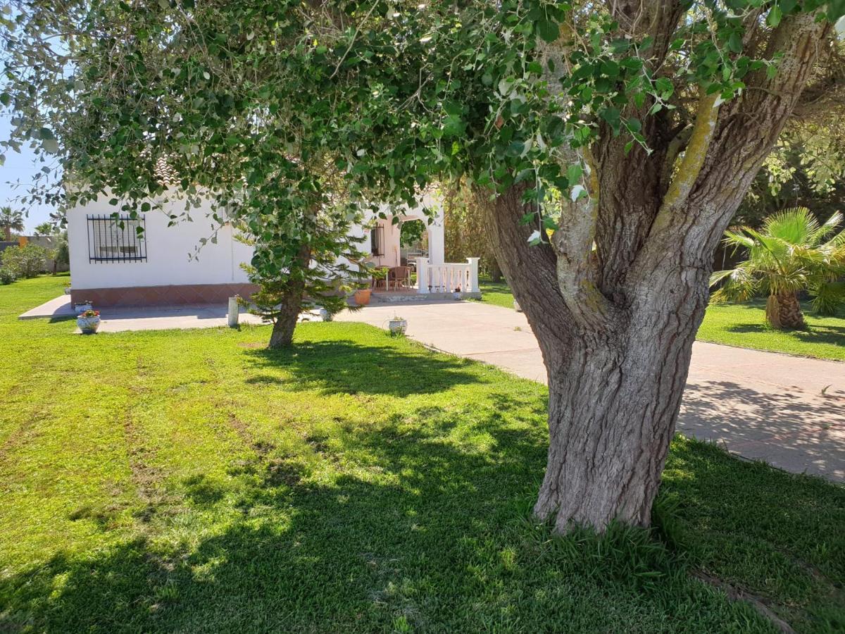 Casa Francesca, 90 M2, Jardin De 1500M2 Villa Hozanejos Dış mekan fotoğraf